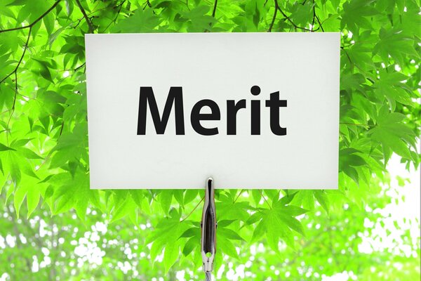 merit.jpgのサムネイル画像
